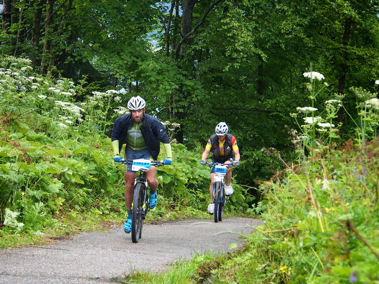 salzkammerszilviajuul